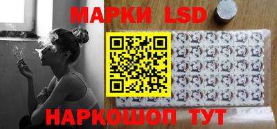 шишки Новозыбков
