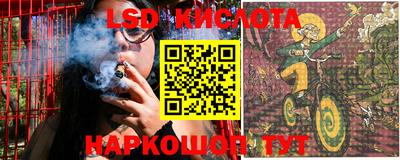 шишки Новозыбков