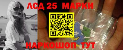 мдпв Новокубанск