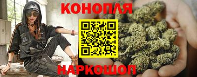 мдпв Новокубанск