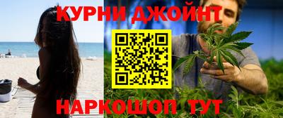 шишки Новозыбков
