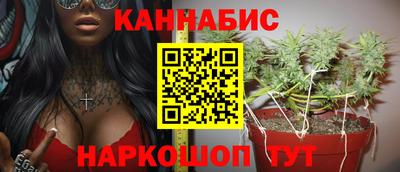 шишки Новозыбков